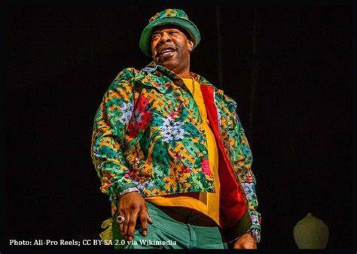 Busta Rhymes Heritage: Does Busta Rhymes have Jamaican roots?