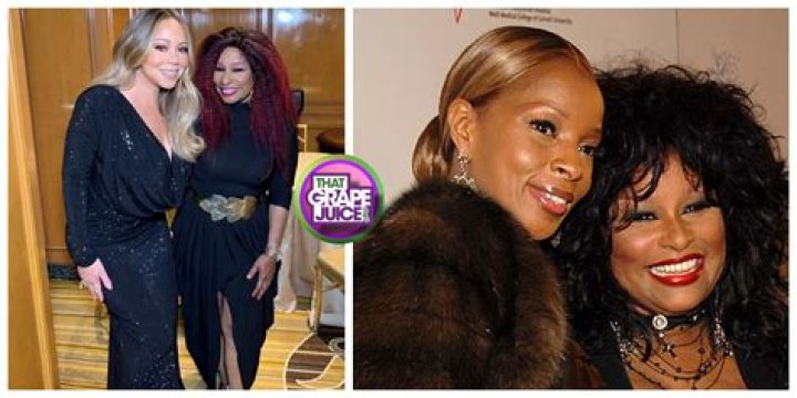 Chaka Khan Drunk On Stage, Illness & Husband Kids