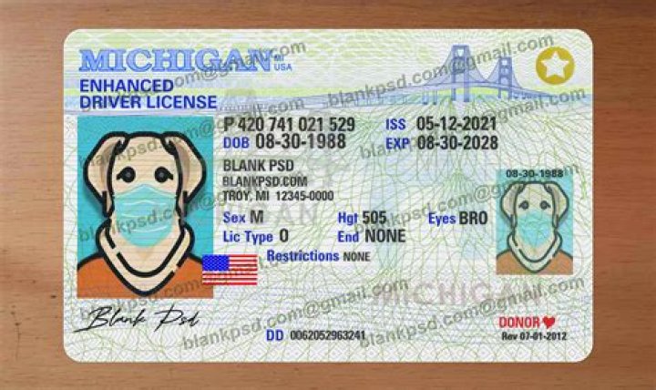 Dan Firkus Trixie Mattel Brother Has A Funny Driver’s License Photo