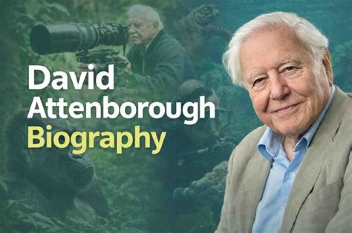 David Attenborough Net Worth, Age, Brother, Books, Young, Facts, Documentaries