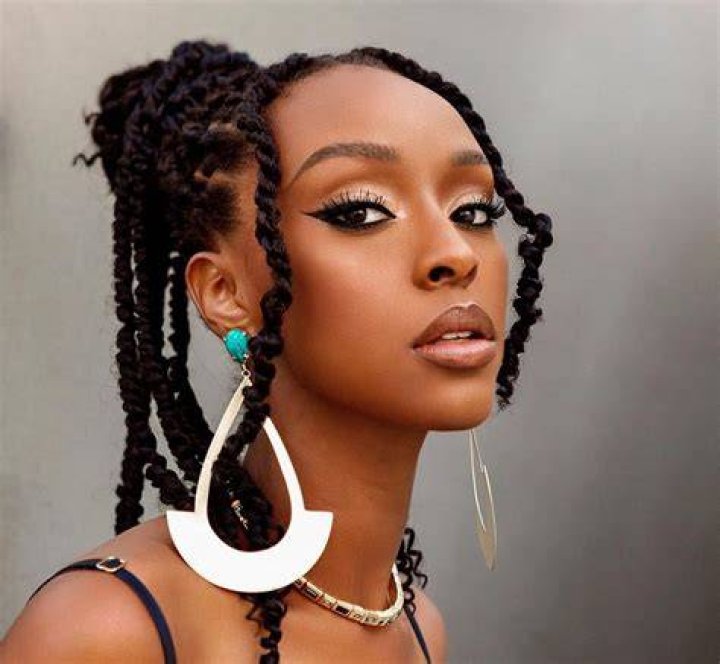 Ebony Obsidian Mother Death News And Family