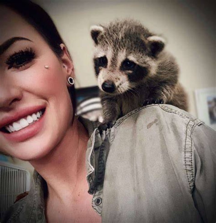 Foxy Tiktok Real Name: Everything On The TikTok Star