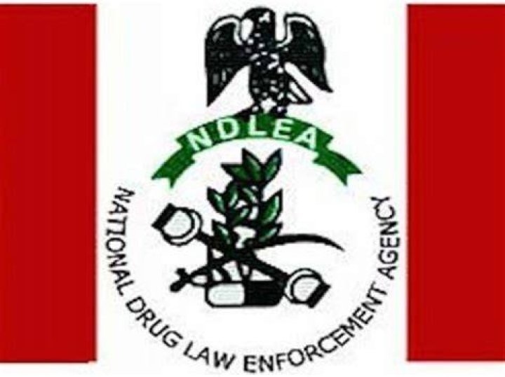 Functions of the NDLEA and brief History   
