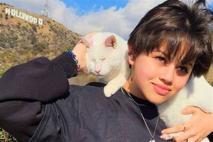 Havan Flores (Actress)Bio, Age, Parents, Boyfriend, Danger Force, Henry Danger and Net Worth.