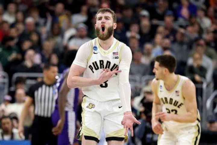 How Tall Is Sasha Stefanovic From Purdue Boilermakers? Details To Know About The Basketball Player