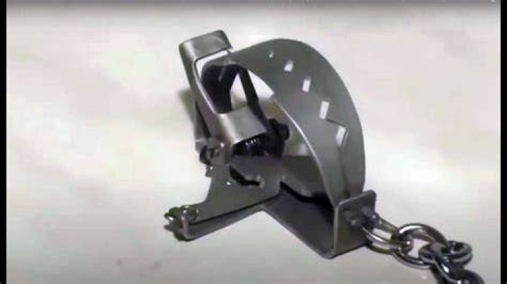 How to open a bear trap