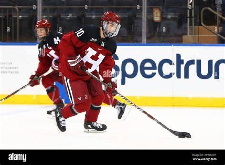 Ice Hockey: Who is Jack Donato? Everything We Have On The Player
