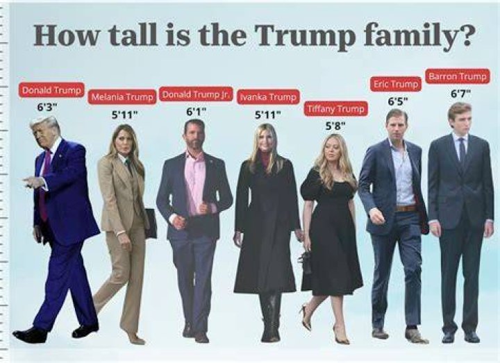 Jacksfilms Height: How Tall Is Jacksfilms?