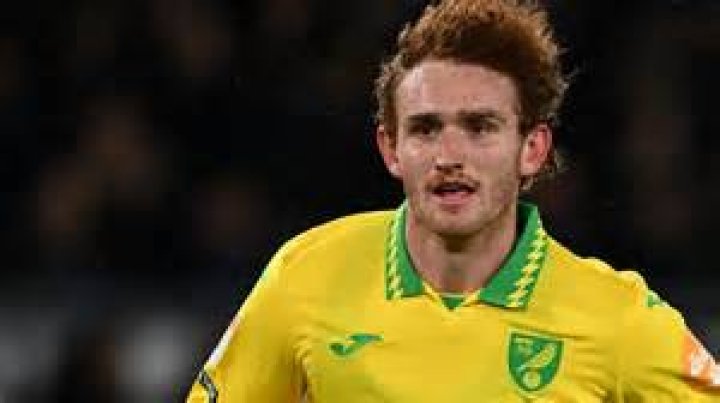 Josh Sargent Biography – Facts, Salary, Wife, Family, Age, Career
