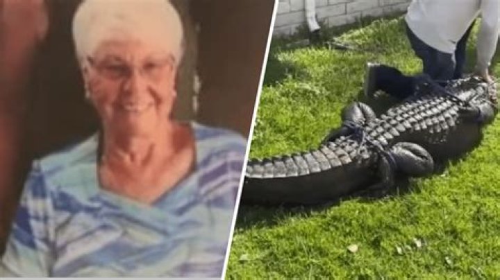Reddit Video: Gloria Serge Death And Obituary- 85 Year Old Killed By Alligator