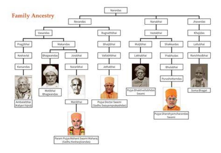 Rishi Nitya Pragya Wikipedia, Real Name and Death Cause – Art Of Living