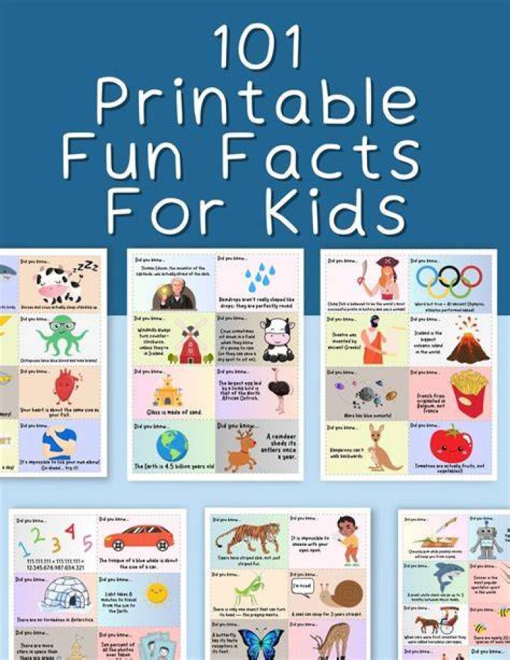 Rockloe Real Name: Facts To Know About