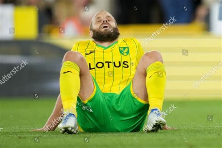 Teemu Pukki Childhood Story Plus Untold Biography Facts
