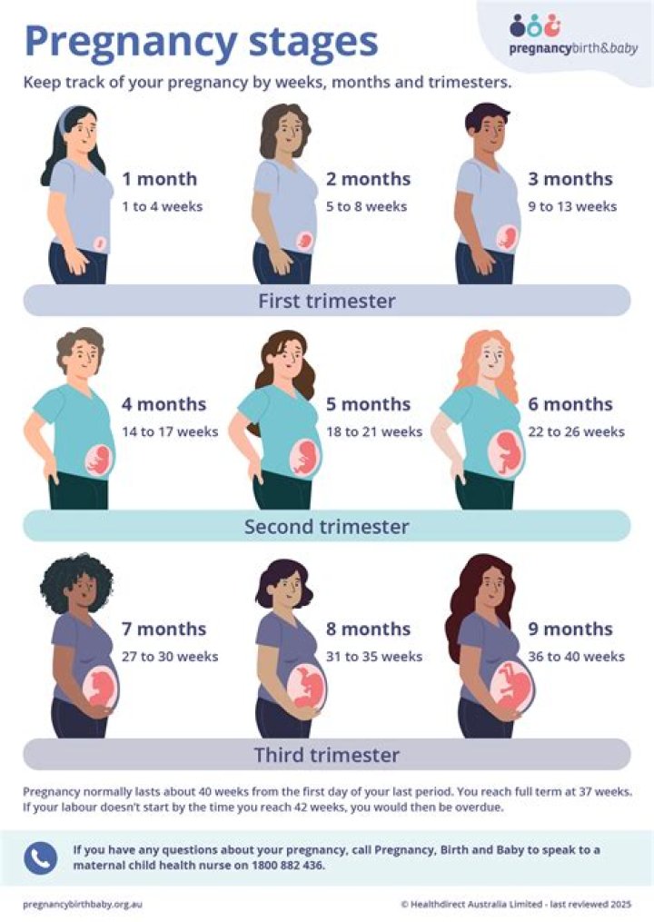 The Good Wifey TikTok Age Pregnant: Facts To Know About TikTok Star