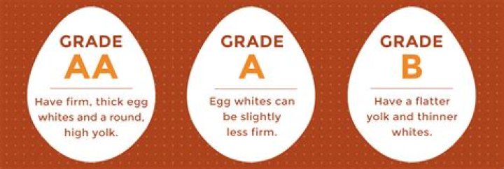 What is the Difference Between Grade A Eggs and AA Eggs