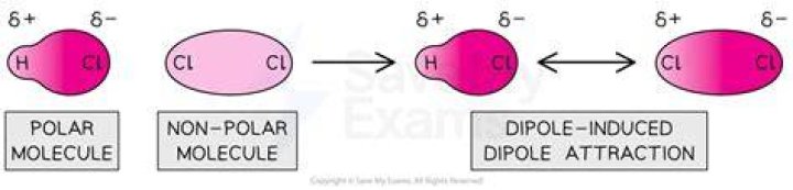 What is the Difference Between Ion Dipole and Dipole Dipole Forces