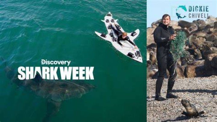 Where Is Dickie Chivell From? Everything On Scuba Diver