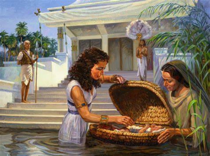 Where was moses born