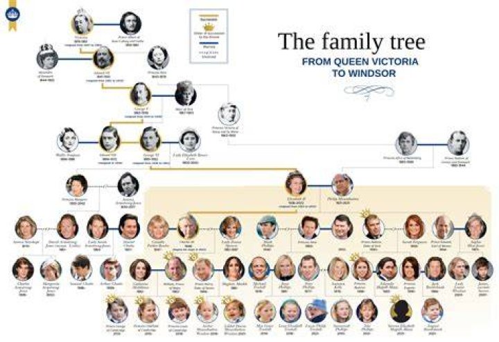 Who Are Nick Molnar’s Parents? Details On The Family Of The Australian Billionaire