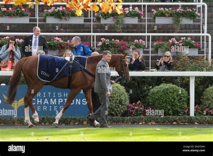 Who Is Bjorn Nielsen? Everything On The Owner Of Stradivarius Horse