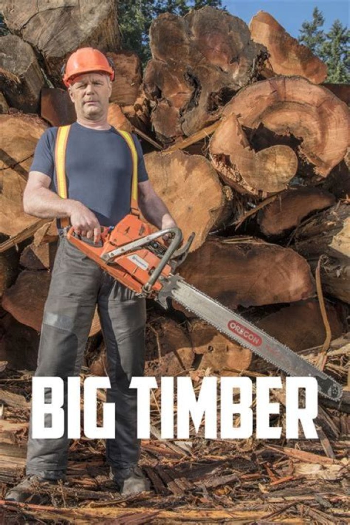 Why Was Kevin Wenstob’s Company Fined a Million Dollar Penalty? Big Timber Update!