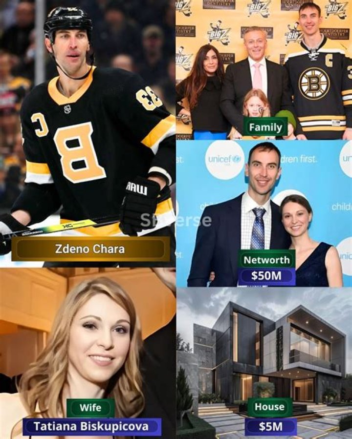 Zdeno Chara Net Worth, Income, Salary, Earnings, Biography